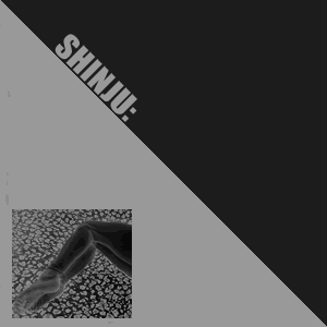 No Album Image